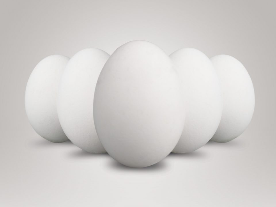 Root_04-02-2012-Id.61